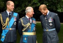 King Charles Encouraged By Prince Harry's Olive Branch To Prince William