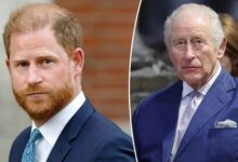 Prince Harry's Reunion With King Charles Sparks Fresh Royal Debate