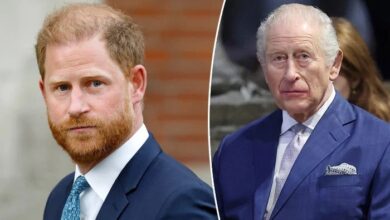 Prince Harry's Reunion With King Charles Sparks Fresh Royal Debate