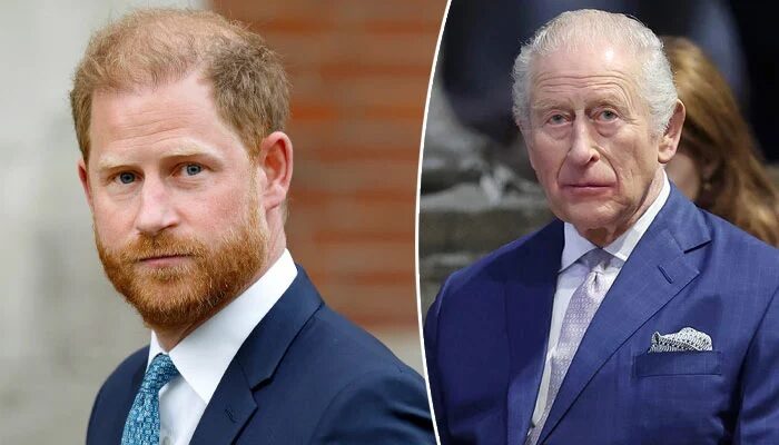 Prince Harry's Reunion With King Charles Sparks Fresh Royal Debate