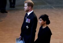Meghan Markle Eyes Royal Title As Prince Harry's Master Plan Unfolds