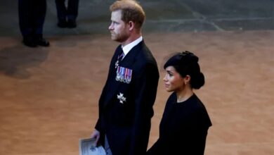 Meghan Markle Eyes Royal Title As Prince Harry's Master Plan Unfolds