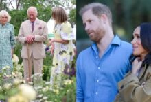 Buckingham Palace Shares Fresh Update After Meghan Markle's Past Royal Comments Resurface