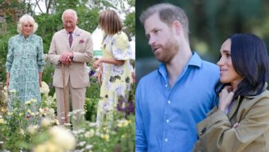 Buckingham Palace Shares Fresh Update After Meghan Markle's Past Royal Comments Resurface