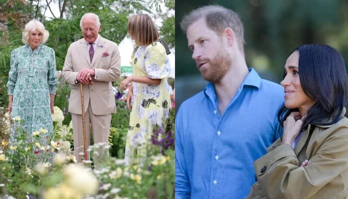 Buckingham Palace Shares Fresh Update After Meghan Markle's Past Royal Comments Resurface