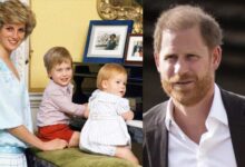 Prince Harry's Unforgettable Nightmare Still Haunts Him Years After Princess Diana's Death