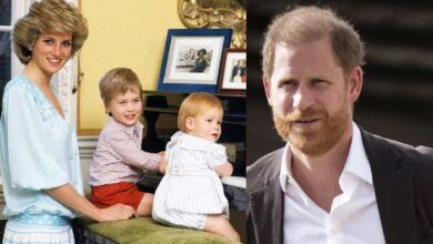 Prince Harry's Unforgettable Nightmare Still Haunts Him Years After Princess Diana's Death
