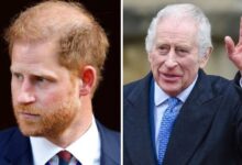 Prince Harry’s Meeting With King Charles Sparks Fresh Questions After Costly UK Legal Defeat