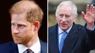 Prince Harry’s Meeting With King Charles Sparks Fresh Questions After Costly UK Legal Defeat