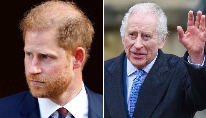 Prince Harry’s Meeting With King Charles Sparks Fresh Questions After Costly UK Legal Defeat