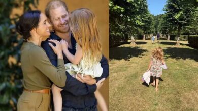 Princess Lilibet's New Photo Leaves Prince Harry's Hair Claim in the Spotlight