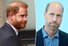 Prince Harry's Latest Statement Has Pushed Prince William Further Away