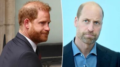 Prince Harry's Latest Statement Has Pushed Prince William Further Away