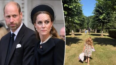 Meghan Markle's United Kingdom Trip Photo Sparks Fresh Debate Within Royal Circles