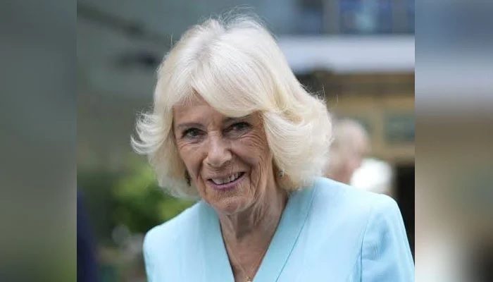 Queen Camilla Shares Thoughtful Message Following Meghan Markle's Latest Summer Update