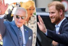 King Charles Extends Fresh Olive Branch to Prince Harry Ahead of Next UK Return