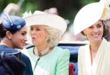 Meghan Markle Looks to Queen Camilla as Shared Purpose Sparks Fresh Talk of Royal Reconciliation