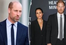 Prince William Sets Firm Conditions Ahead of Possible Prince Harry Meeting