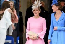Princess Kate and Duchess Sophie Delight Royal Fans as Their Close Bond Continues to Grow