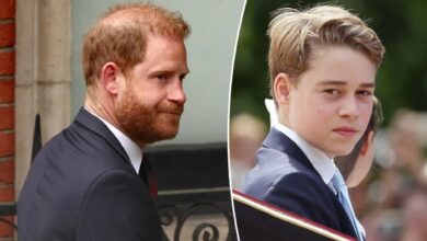 Prince Harry's Past Comments on Prince George Resurface as Young Royal Reaches Major Milestone
