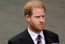 Prince Harry's Reported Apology Alone Unlikely to Restore Former Royal Role