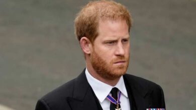 Prince Harry's Reported Apology Alone Unlikely to Restore Former Royal Role