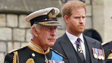 King Charles Offer To Prince Harry Reportedly Creates Unease Within Palace Circles