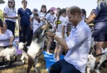 Prince Harry Makes First Public Appearance After Meeting With King Charles During UK Visit