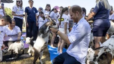 Prince Harry Makes First Public Appearance After Meeting With King Charles During UK Visit