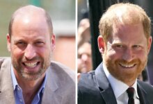 Prince William and Prince Harry's Chances of Reunion Laid Bare After Highgrove Meeting