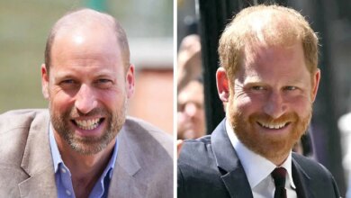 Prince William and Prince Harry's Chances of Reunion Laid Bare After Highgrove Meeting