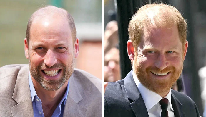 Prince William and Prince Harry's Chances of Reunion Laid Bare After Highgrove Meeting