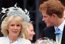 Queen Camilla Reportedly Played Key Role in Prince Harry and King Charles Private Reunion