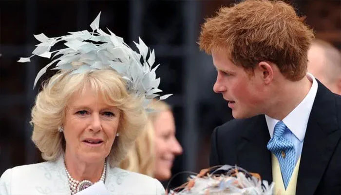 Queen Camilla Reportedly Played Key Role in Prince Harry and King Charles Private Reunion