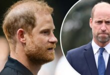 Prince Harry Shares Prince William's World Cup Heartbreak in First Public Appearance After Royal Reunion