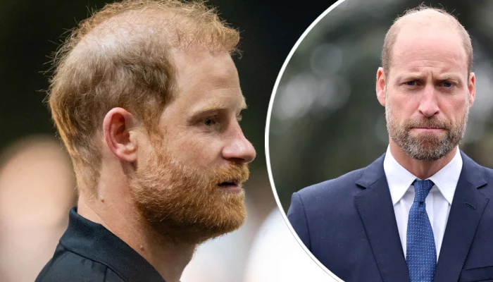 Prince Harry Shares Prince William's World Cup Heartbreak in First Public Appearance After Royal Reunion