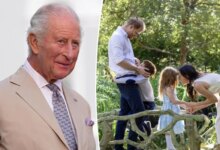 Fresh Claims About King Charles Reunion With Harry and Meghan Sparked New Discussion