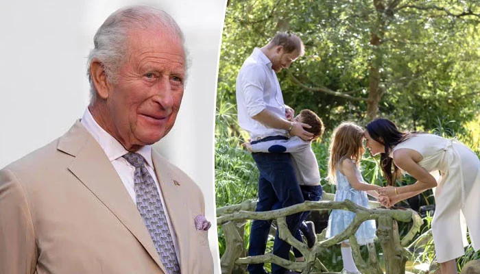 Fresh Claims About King Charles Reunion With Harry and Meghan Sparked New Discussion