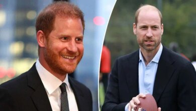 Prince Harry's Latest Remarks Draw Comparisons with Prince William Despite Royal Rift