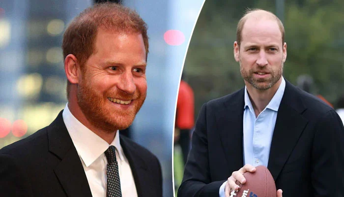 Prince Harry's Latest Remarks Draw Comparisons with Prince William Despite Royal Rift