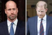 Prince William Concerned Over Prince Harry's Next Tribute To Princess Diana