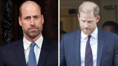 Prince William Concerned Over Prince Harry's Next Tribute To Princess Diana