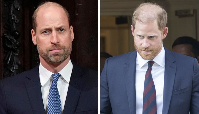 Prince William Concerned Over Prince Harry's Next Tribute To Princess Diana