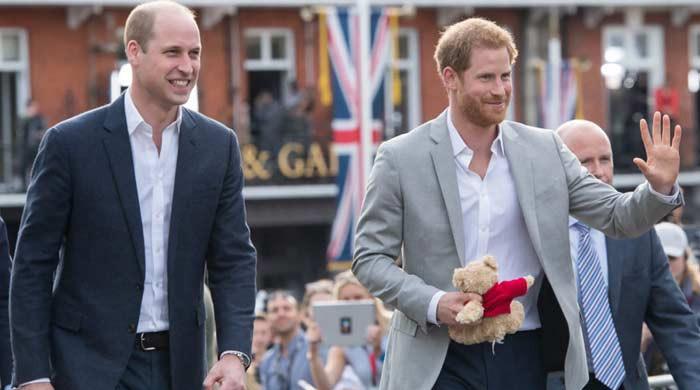 Prince William’s Major US Announcement Sparks Fresh Buzz Around Prince Harry