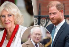 Queen Camilla Reportedly Draws Firm Line as King Charles Reaches Out to Prince Harry