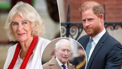 Queen Camilla Reportedly Draws Firm Line as King Charles Reaches Out to Prince Harry