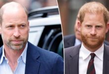 Prince William Takes Strategic Step Ahead of Prince Harry’s UK Return
