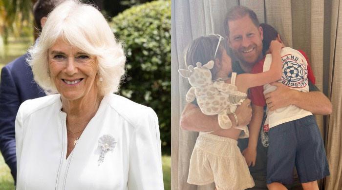 Queen Camilla Reportedly Open to Meeting Prince Harry and His Children Despite Past Criticism