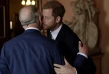 Prince Harry Makes Emotional Wish For King Charles Ahead Of Major Royal Reunion