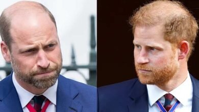 Prince Harry Wants Prince William And Princess Kate At Invictus Games As King Charles Talks Continue